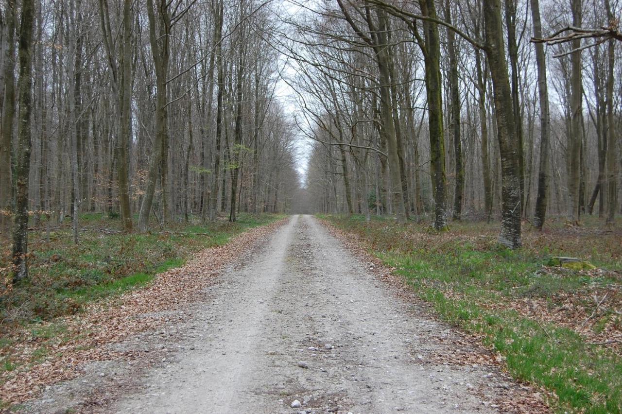 Le Petit Gite De La Varenne Saint-Hellier المظهر الخارجي الصورة